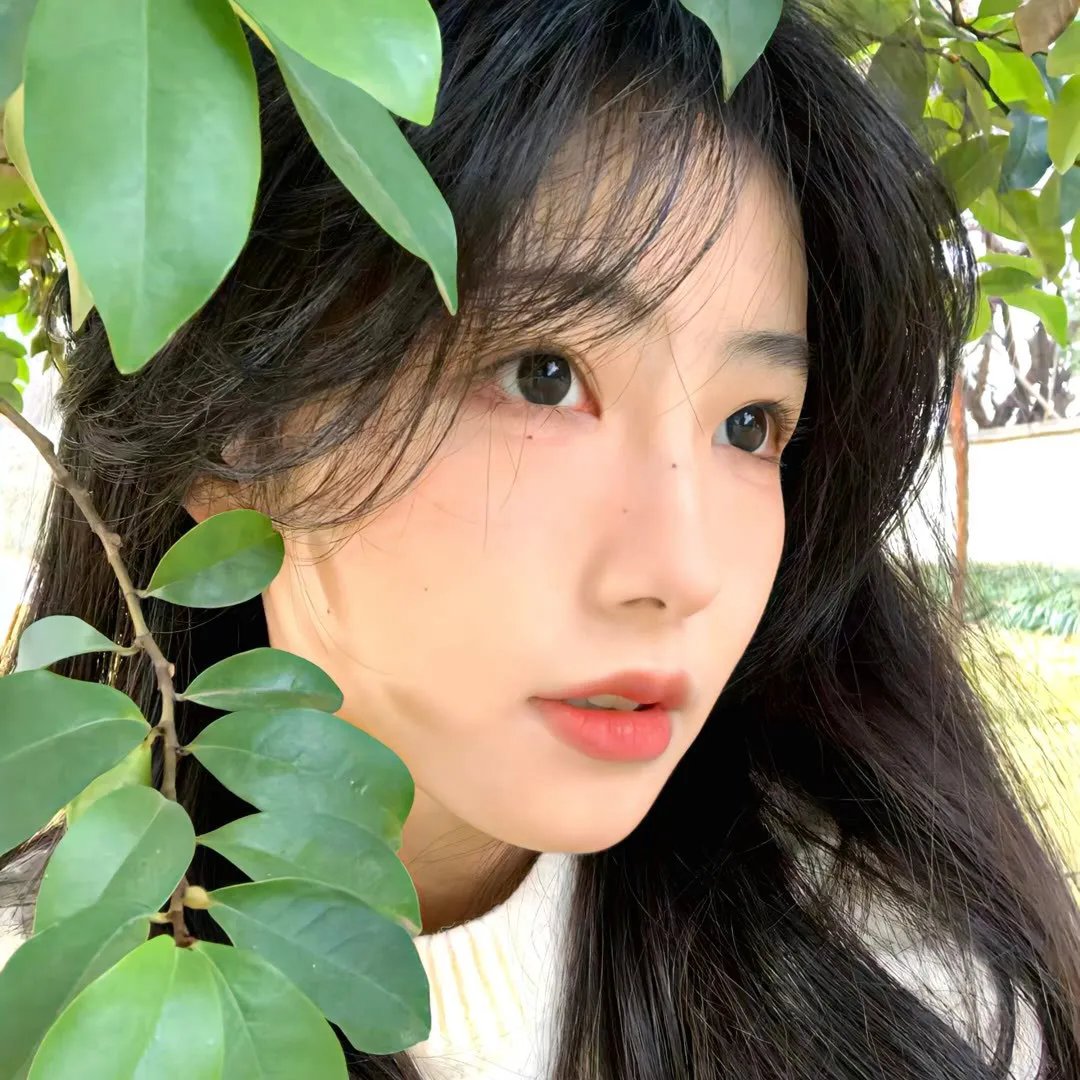 完美妻子的完美复仇计划